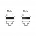 CABO RJ45 MACHO RETO 8P.0,3M (30CM) P/PAINEL CAT6 CZ GIGABIT 774711-7780030 MURRELEKTRONIK