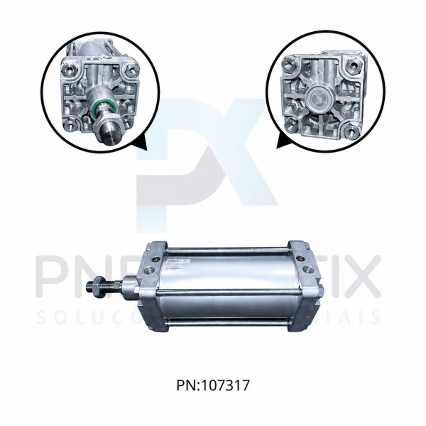 CILINDRO PNEUM.ISO D.A MAG. TIRANTADO DIAM.160MM X CURSO 250MM RA/8160/M/250 NORGREN