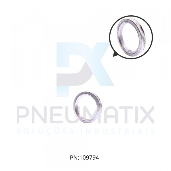 PORCA FIXACAO ALUMINIO PESCOCO P/LINHA 07 2962-04 NORGREN PORCA FIXACAO ALUMINIO PESCOCO P/LINHA 07 2962-04 NORGREN