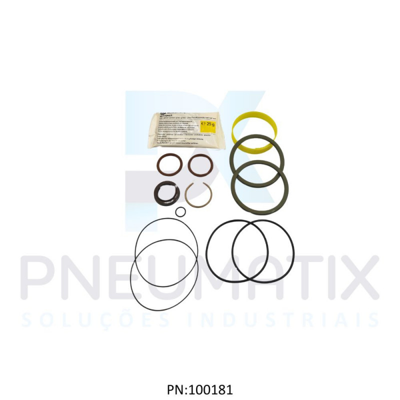 KIT REPARO P/CILINDRO ISO 80MM VITON TQA/8080/00 NORGREN KIT REPARO P/CILINDRO ISO 80MM VITON TQA/8080/00 NORGREN