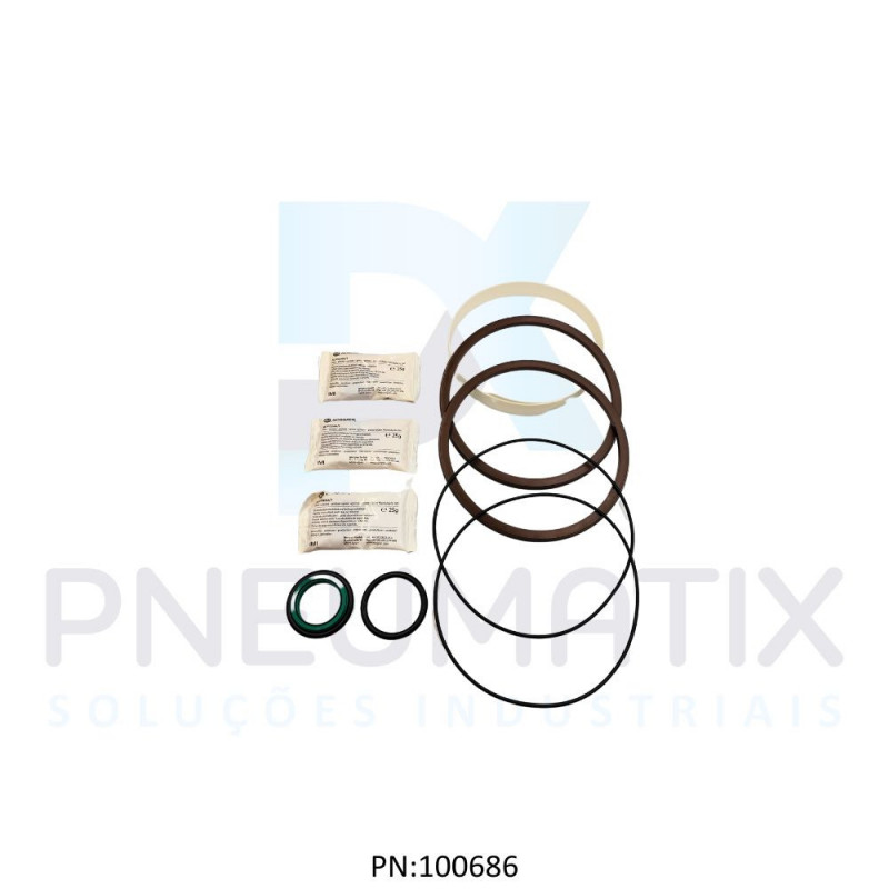 KIT REPARO P/CILINDRO ISO 200MM QA/8200B/00 NORGREN
