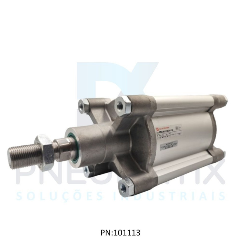CILINDRO PNEUM.ISO D.A MAG.PERFILADO DIAM.125MM X CURSO 100MM PRA/802125/M/100 NORGREN CILINDRO PNEUM.ISO D.A MAG.PERFILADO DIAM.125MM X CURSO 100MM PRA/802125/M/100 NORGREN