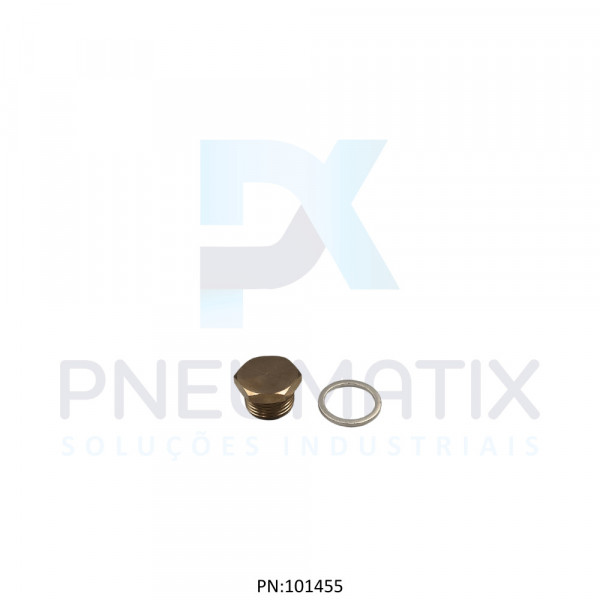 CONEXAO PLUG METALICO 3/8 BSPP 160050038 NORGREN