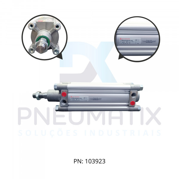CILINDRO PNEUM.ISO D.A MAG.PERFILADO DIAM.80MM X CURSO 160MM PRA/802080/M/160 NORGREN